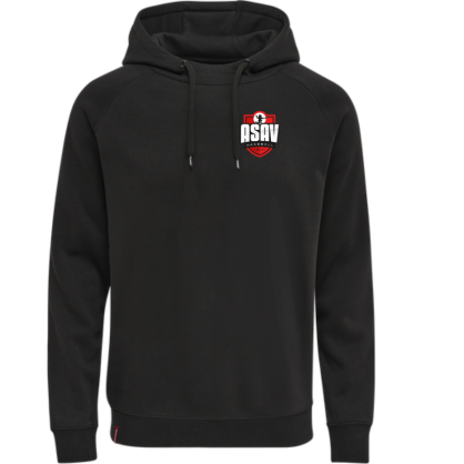Sweat à capuche Hummel Noir ASAV Handball