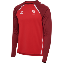 Maillot manches longues Rouge Hummel ES Aubance Handball