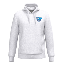 Sweat à capuche Gris clair US Pontoise St Denis Les Ponts